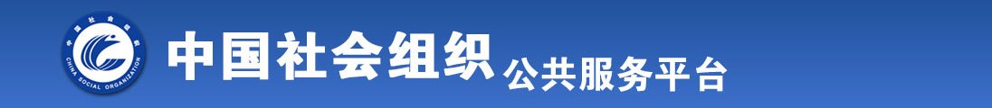 俄罗斯美女沙滩操BB全国社会组织信息查询